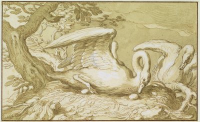 A Swan in Her Nest by Abraham Bloemaert